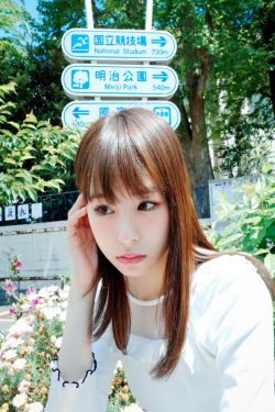 一枝梅在线观看免费完整版